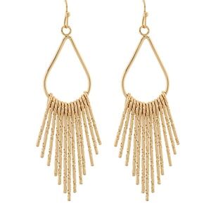 Teardrop Outline Fringe Earrings